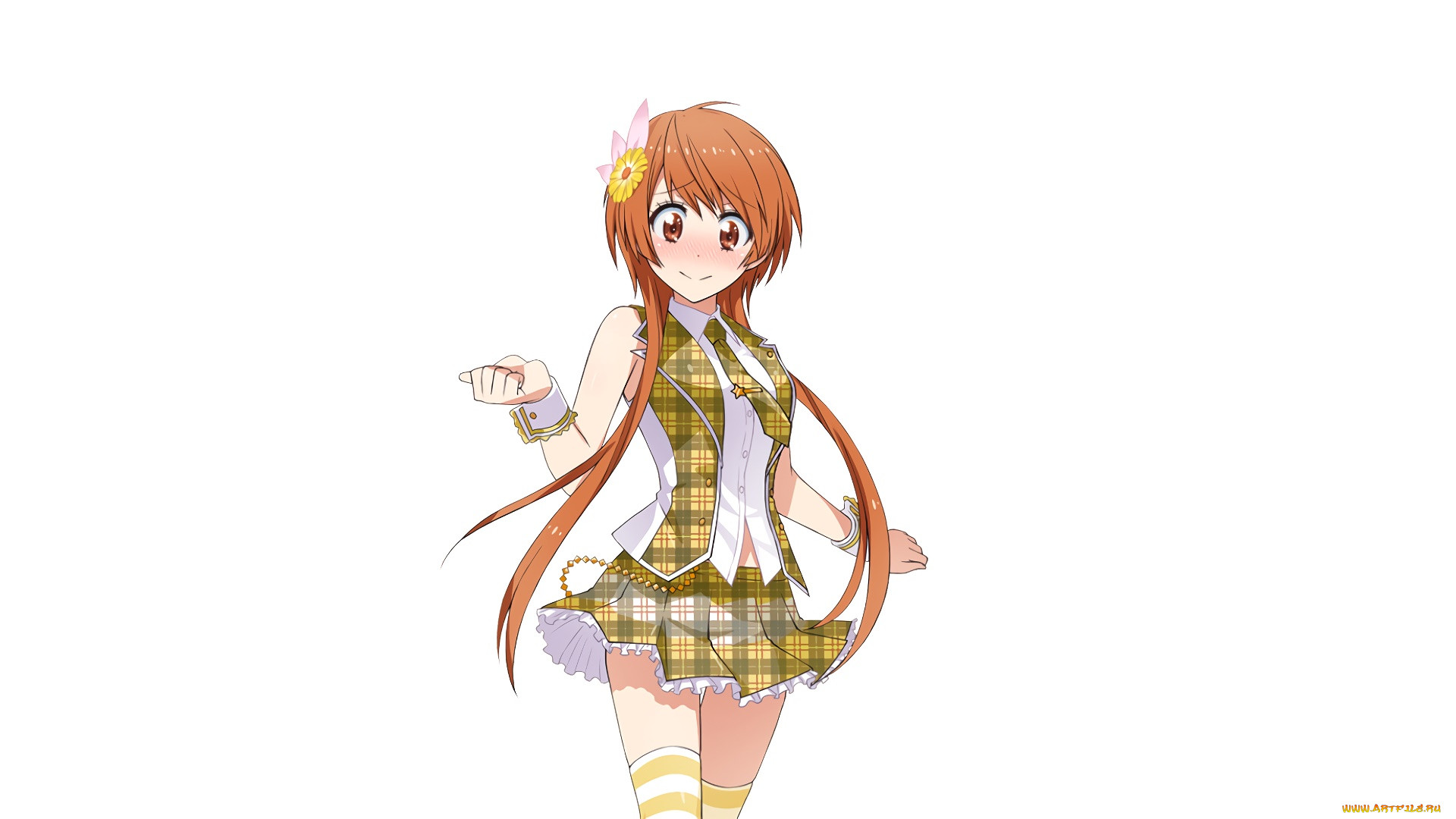 , nisekoi, , , 